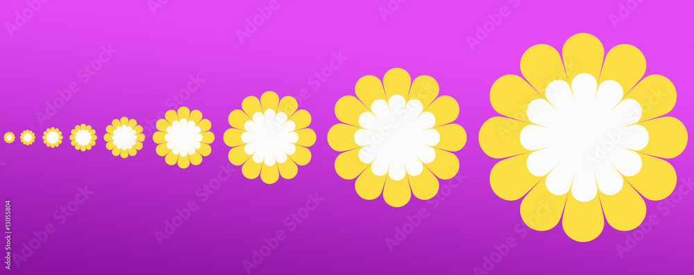 wachsende Blüte wachsende Blüte