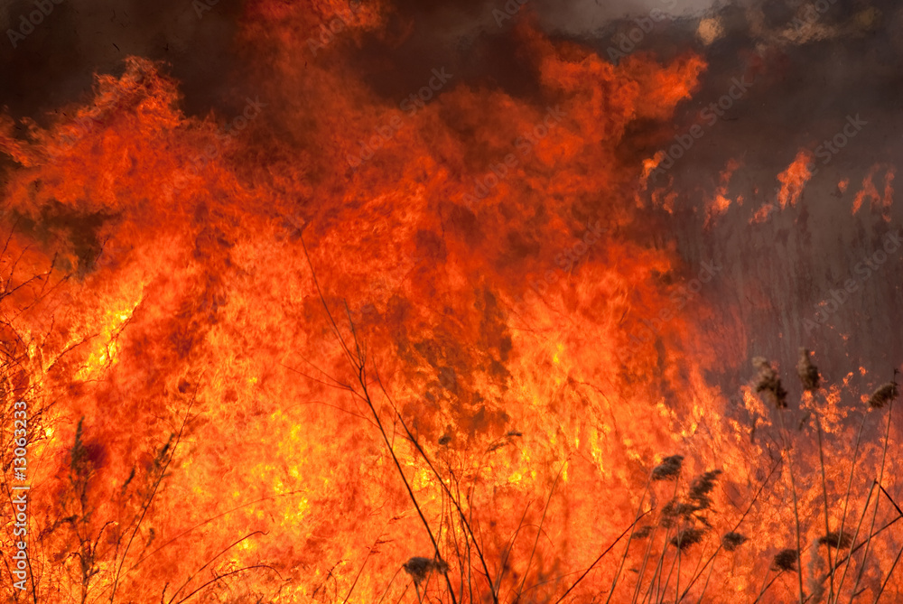 Obraz premium burning flame