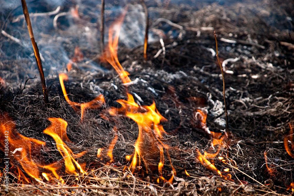 burning grass burning grass
