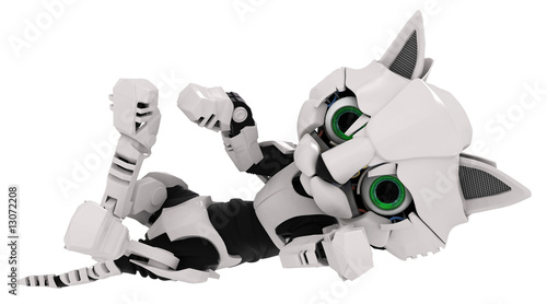 Robot Kitten, On Back