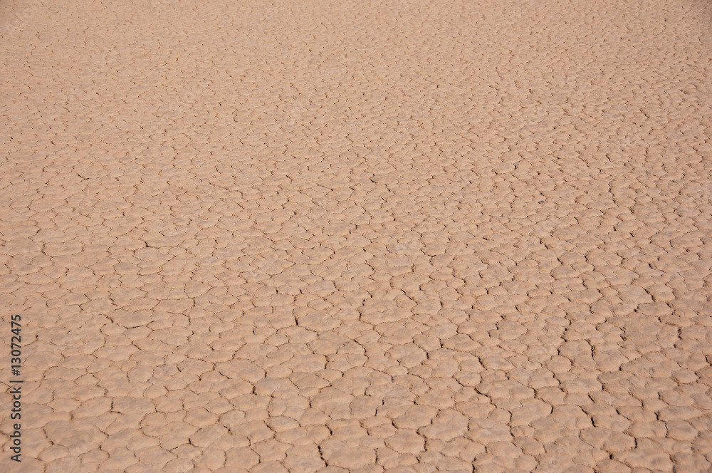 cracked desert ground cracked desert ground