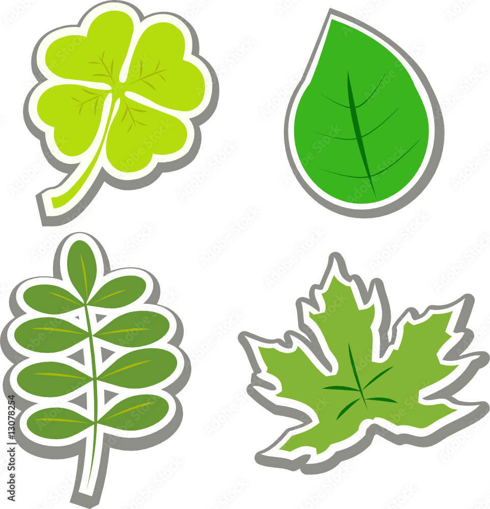 vector green sorts of leaf