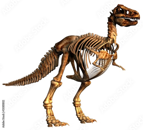 dinosaur tirannosaurus
