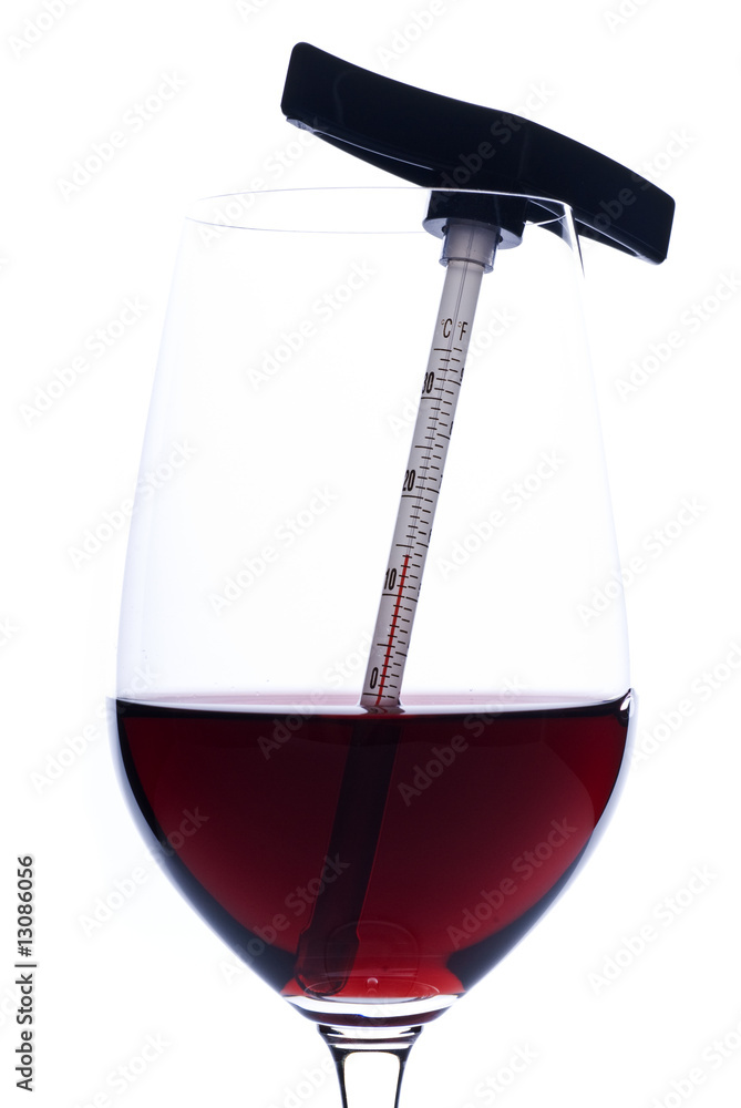 Measuring Red Wine Temperature with a Thermometer (Celsius) StockFoto