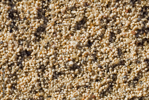 Oolid sand particles from Cleopatra Beach, Turkey