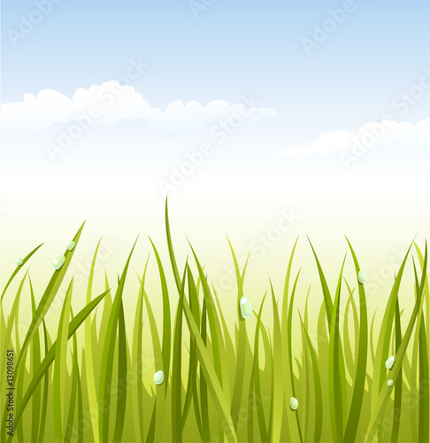 Summer grass