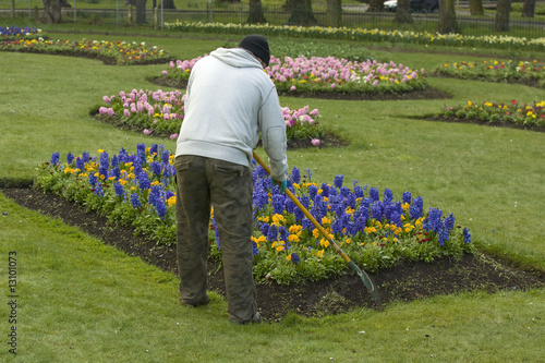 Gardener at work photo