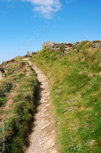 A path through the grass