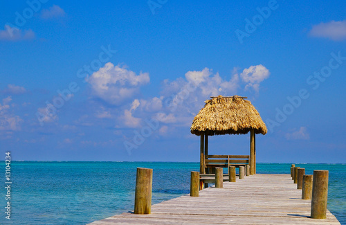 dock and thatched-roof palapa in the tropics photo