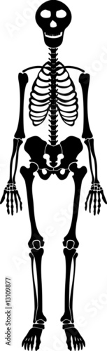 the happy skeleton
