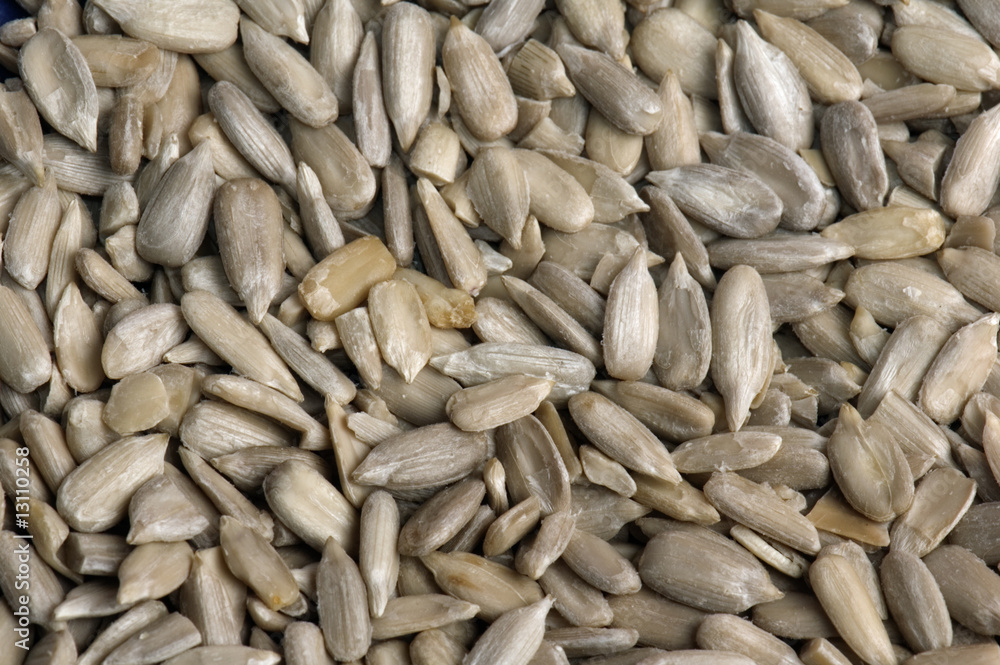 Background from the cleared seeds of a sunflower Background from the cleared seeds of a sunflower