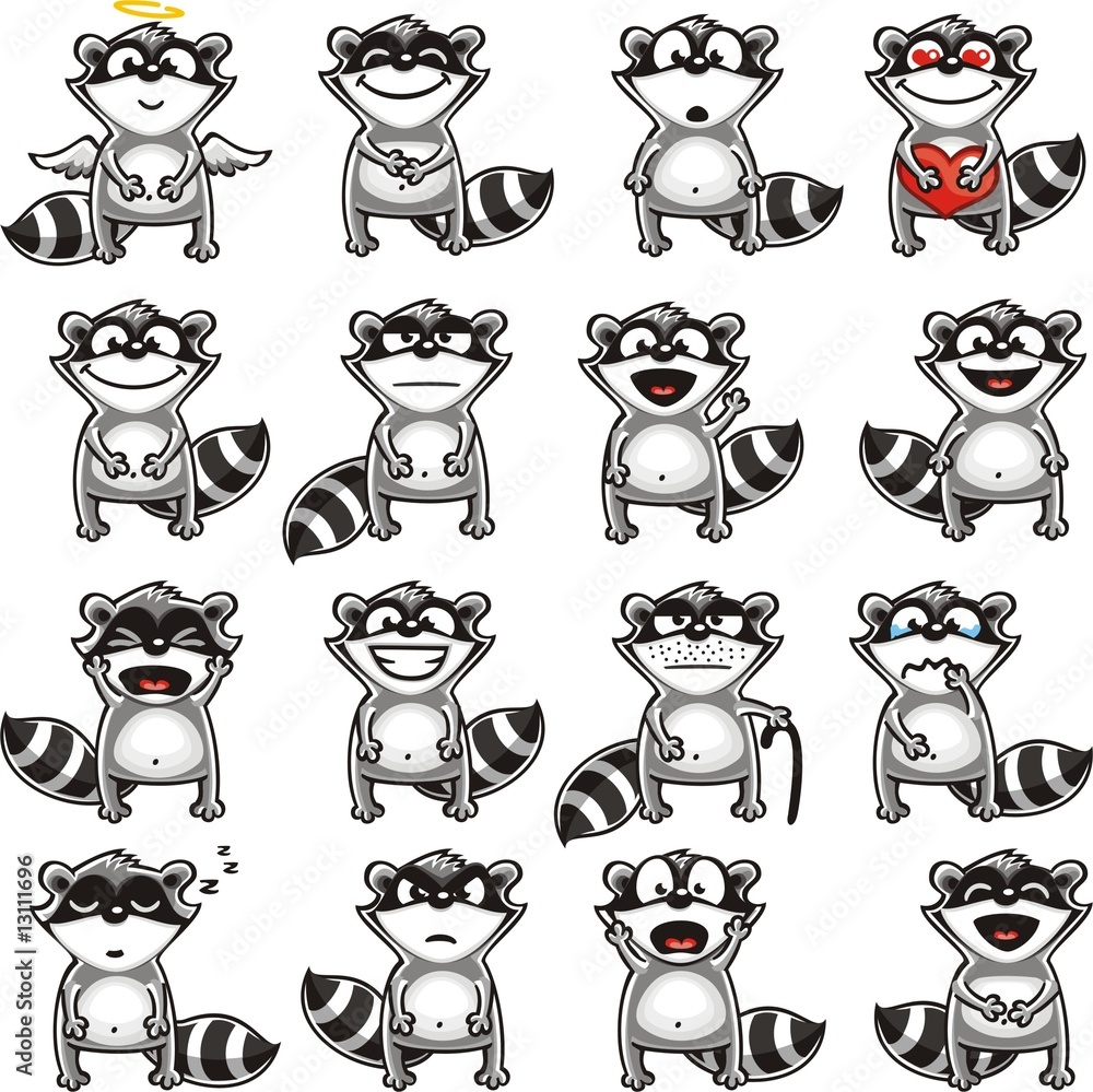 Obraz premium Funny racoons (1)