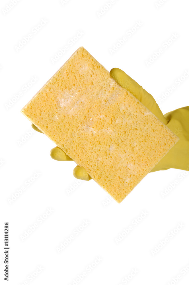 Yellow sponge Yellow sponge