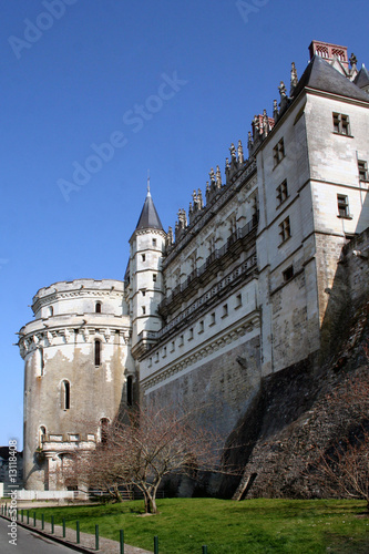 château d'amboise