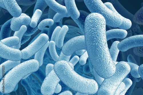 illustration of the bacillus microorganisms photo
