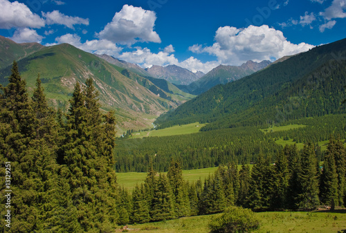 View of valley © Alexandr Makarov