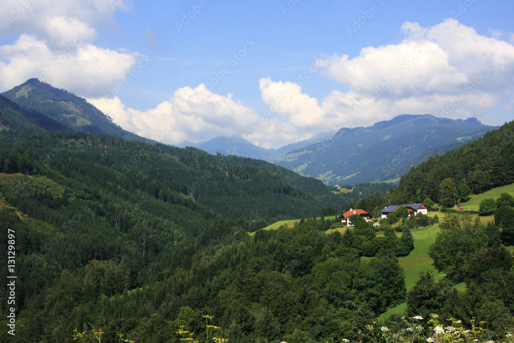 Wohnen im Wald Wohnen im Wald