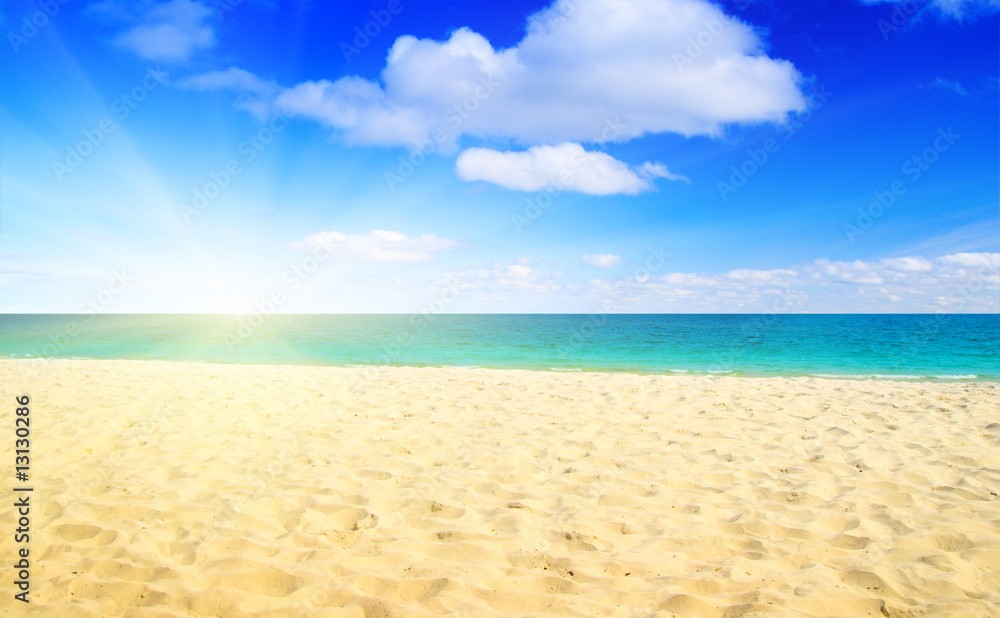 Fototapeta premium sand and ocean
