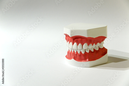 Artificial Jaw
