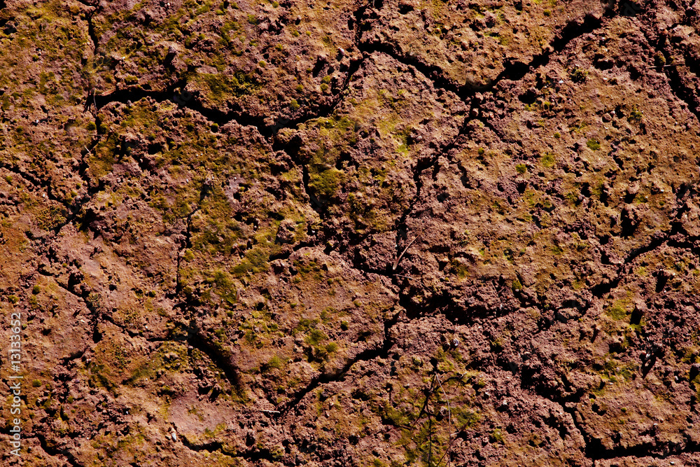 Dried cracked red clay natural soil Dried cracked red clay natural soil