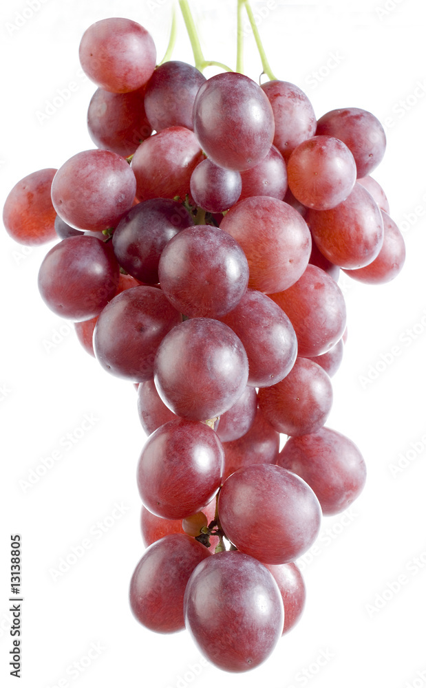 italian Sicily grape italian Sicily grape