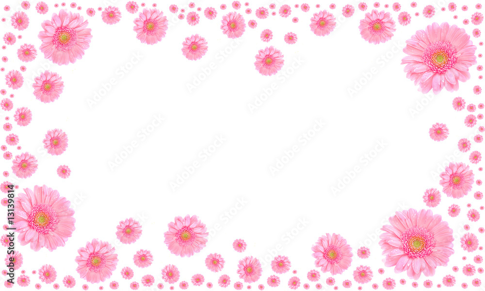 pink flower frame on white background