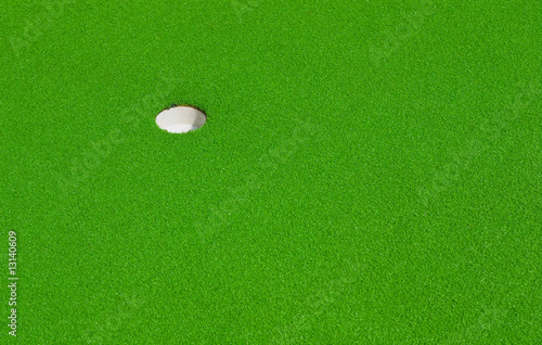 Obraz na płótnie the green goal