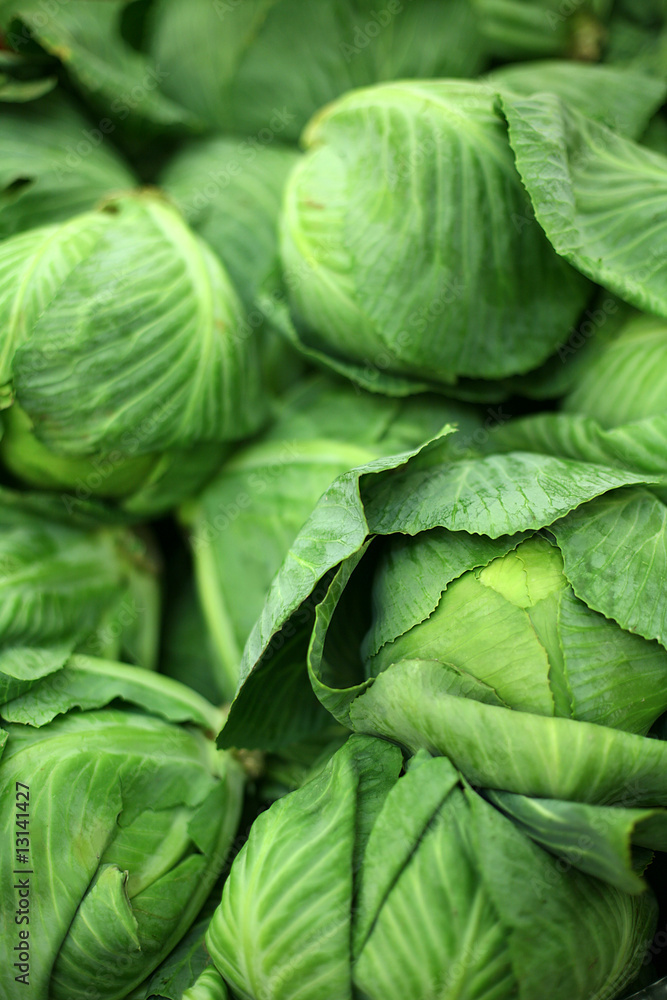cabbage cabbage