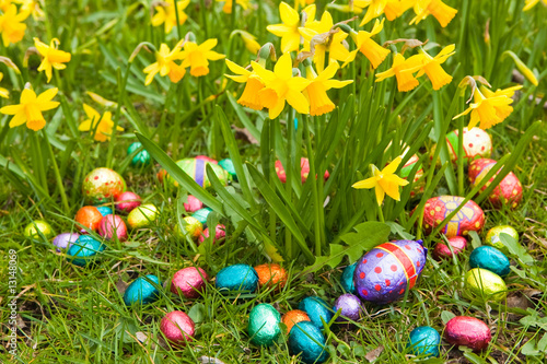 easter eggs with daffodils photo