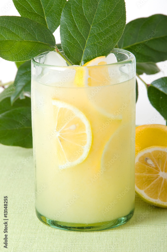 Lemonade with Lotsa Lemon Leaves Lemonade with Lotsa Lemon Leaves