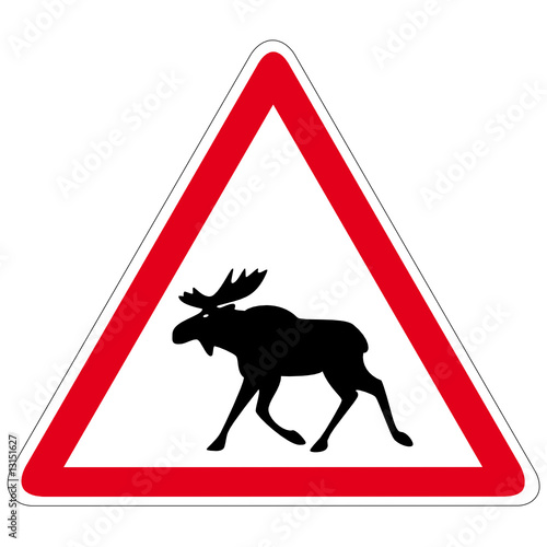 Elch Schild
