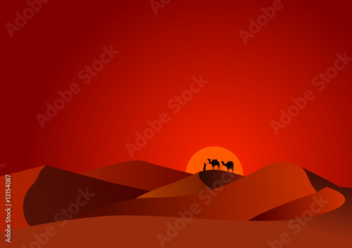 desert sunset