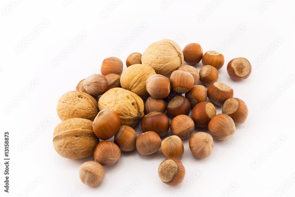 Walnuts and hazelnut on a white background Walnuts and hazelnut on a white background