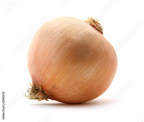 Spanish onion photo