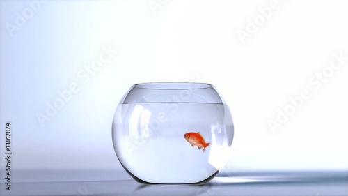 Goldfish salto photo
