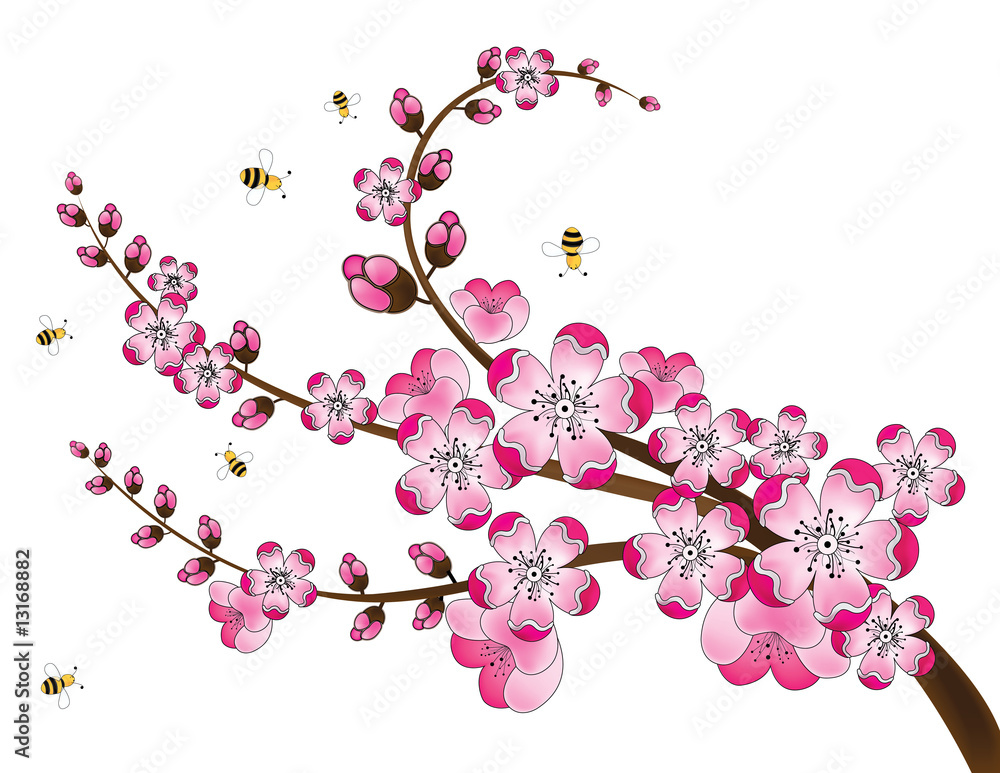 Fototapeta premium Cherry Blossoms and Bees
