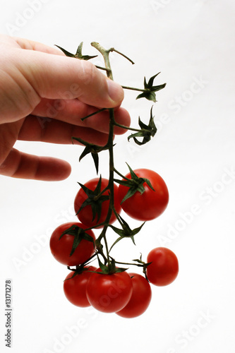 rote Tomaten photo