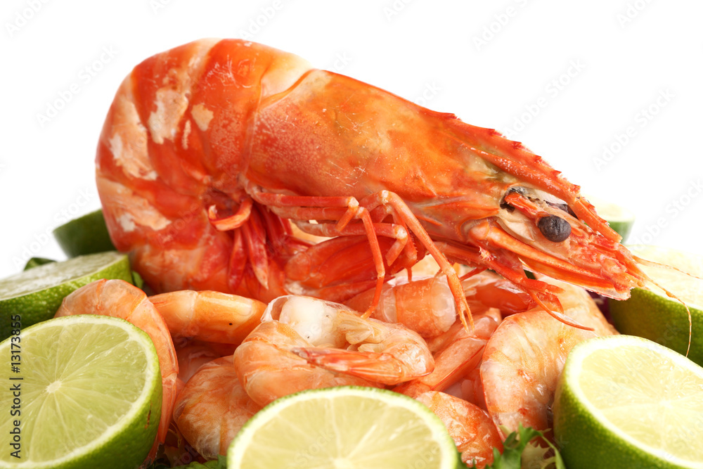 shrimp background shrimp background