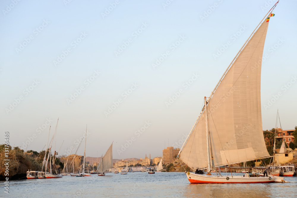 Fototapeta premium Felucca on Nile River