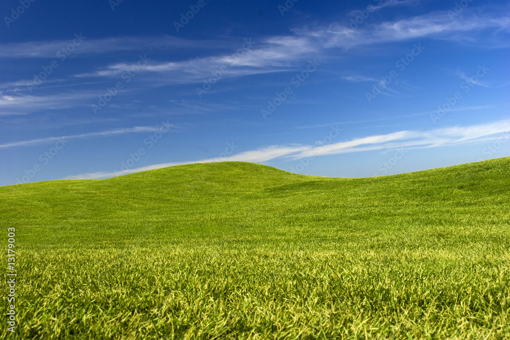 Obraz premium Green Meadow
