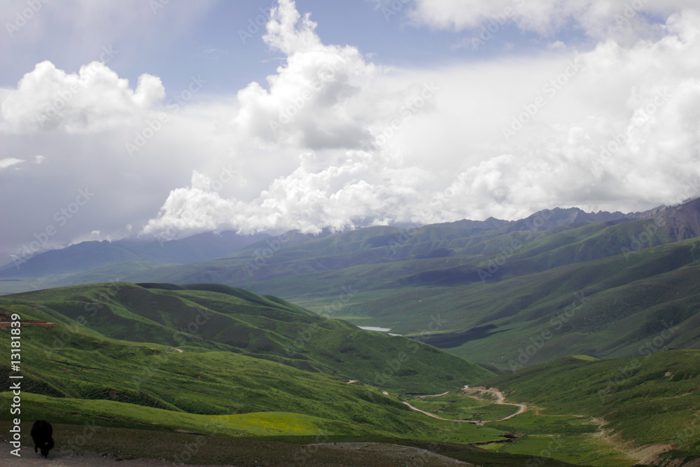 Col Nuri La - 4 630 m - Tibet