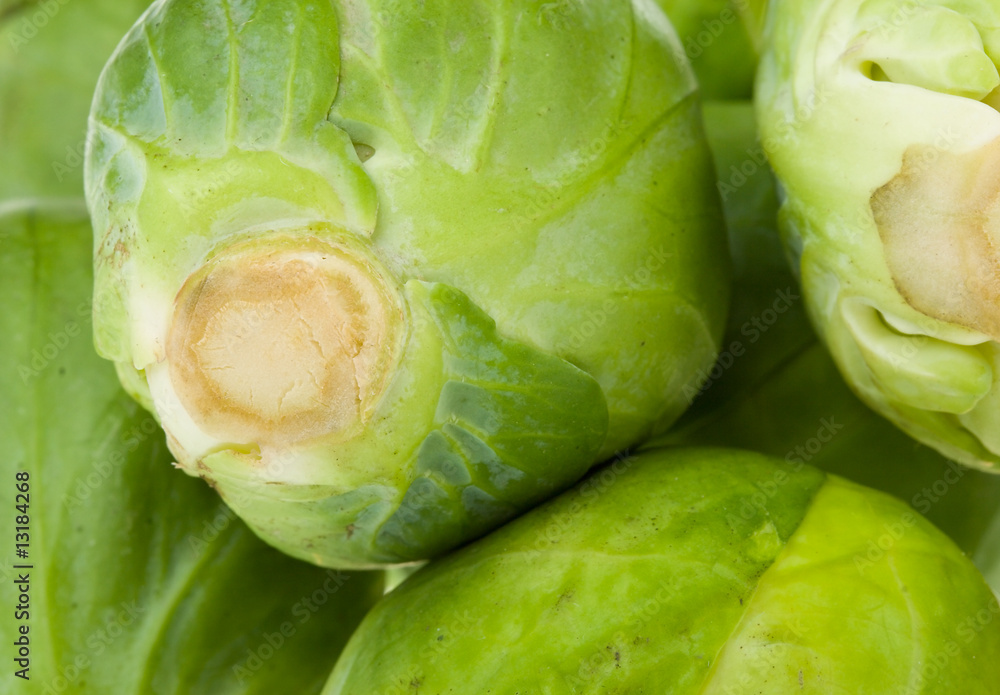 Obraz premium brussels sprouts as background