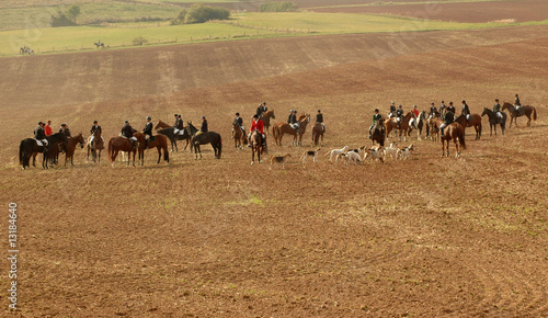 Riders and doggery.