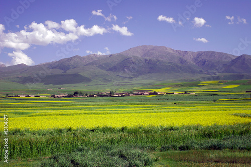 Tibet oriental photo