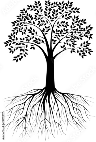 Tree silhouette illustration