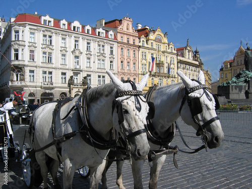 A team of horses at the Old tows Square.