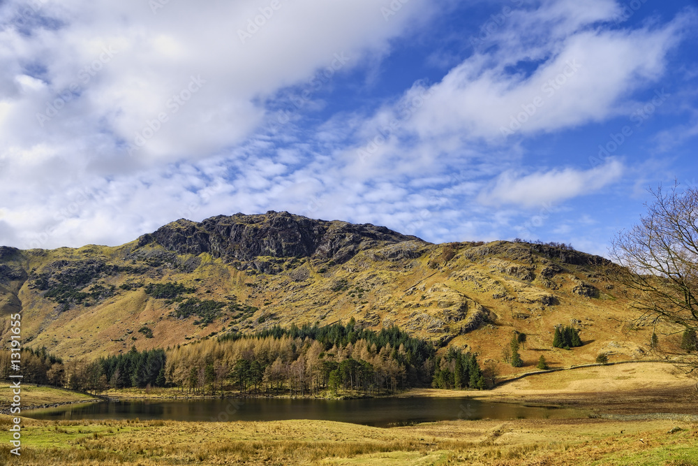 Fototapeta premium Lake District landscape