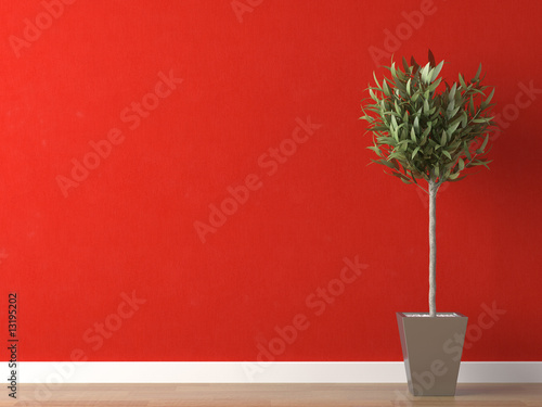 Foto detail of plant on red wall