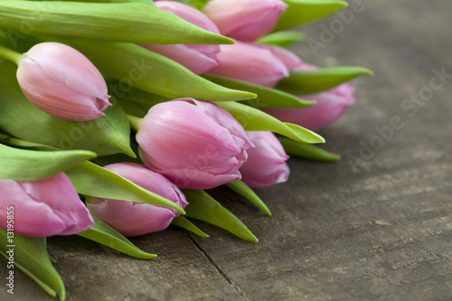 Bouquet of pink tulips
