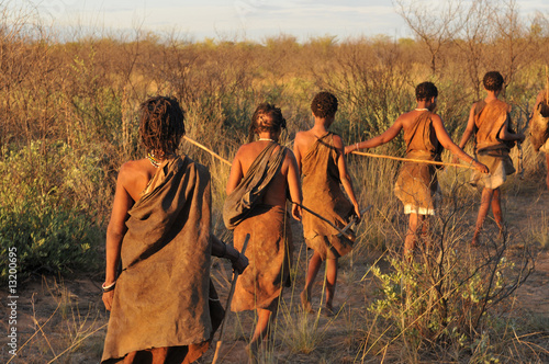 bushmen in the kalahari desert
